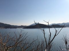 -望湖烤鱼