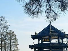-东湖落雁景区