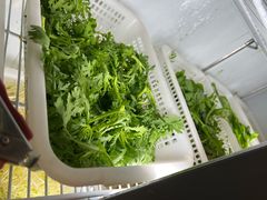 -金鼎雪山牦牛杂火锅(理县总店)