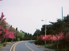 -棒棰岛宾馆景区