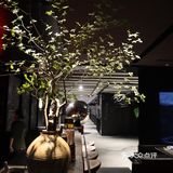 阳春配白雪～龙虾➕鲍鱼配猪大肠的一餐