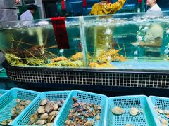 -海大大蒸汽海鲜餐厅·粤菜·特色小炒(欢乐颂店)