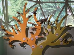 -湖南省地质博物馆