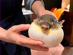 -肆月河豚·淮扬菜·湘菜(华天店)