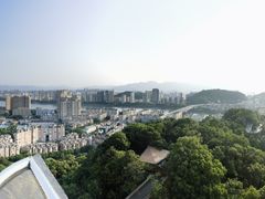 -福道