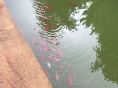-东方熊牧场