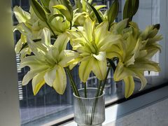 -华润置地大厦E座