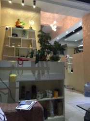 -HANYI韩艺形象店