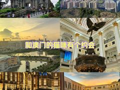 -澳门威尼斯人综合度假区
