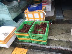 -青石桥市场北1-27号