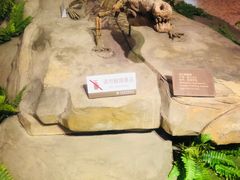 -自贡恐龙博物馆