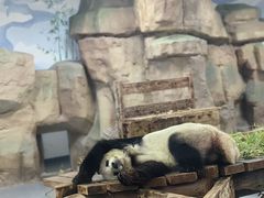 -无锡动物园·太湖欢乐园
