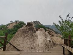 -大岭沟猕猴桃谷风景区