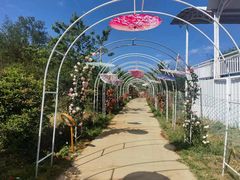 -名花谷生态庄园