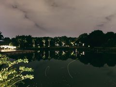 -南宁南湖公园