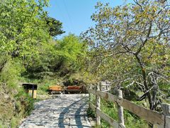 -大岭沟猕猴桃谷风景区