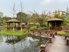 -成飞公园