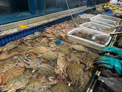 -一方渔歌蒸汽海鲜自助(文化路万达广场店)