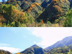 -神农架景区