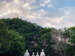 -宋井风景区