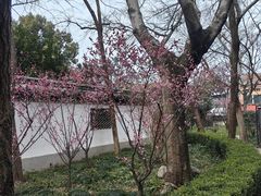 -汇龙潭