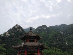 -阿瓦山寨·湘菜现炒·剁椒鱼头王(咸阳总店)