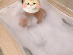 -苏州盛捷绿宝广场服务公寓