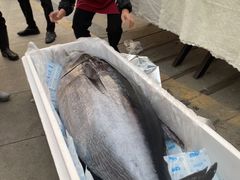 -大东海海鲜酒楼(渔人码头总店)