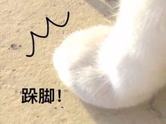 -张氏宽窄巷成都名小吃(茂业百货华强北店)