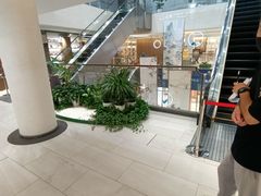 -沈坚强游泳俱乐部(长征分部)