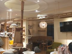 -滚猫咖啡·猫咖·猫友好撸猫(未来城店)