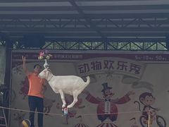 -光明农场大观园