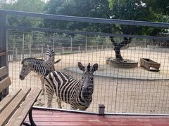 -泉州海丝野生动物世界