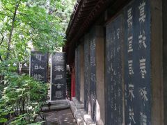 -碑林公园
