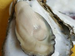 -蚝专家(北滘店)