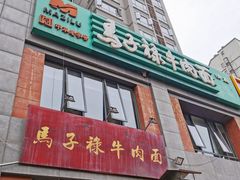-兰州马子禄牛肉面(文景公园店)