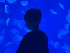 -江和美海洋公园