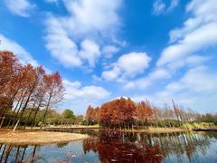 -长广溪湿地公园