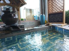-弘安丽水温泉酒店