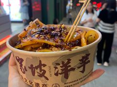 -周小亮丁家坡洋芋(全国总店)