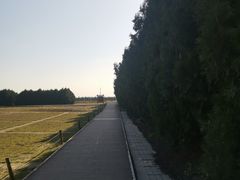 -汉景帝阳陵博物院