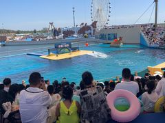 -秦皇岛乐岛海洋王国