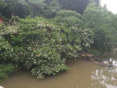 -云溪植物园