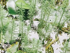 -箱美术馆私房菜(水晶郦城店)