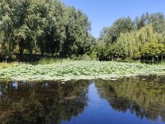 -东郊湿地公园
