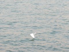 -海堤纪念公园
