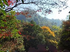-大慈岩风景区