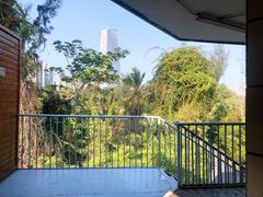 -华侨城湿地公园