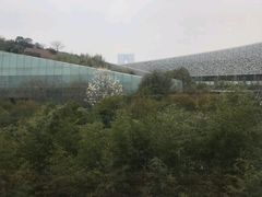-7分甜(苏州园区科文中心店)