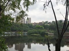 -重庆彩云湖湿地公园